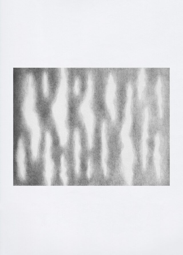 maraveire