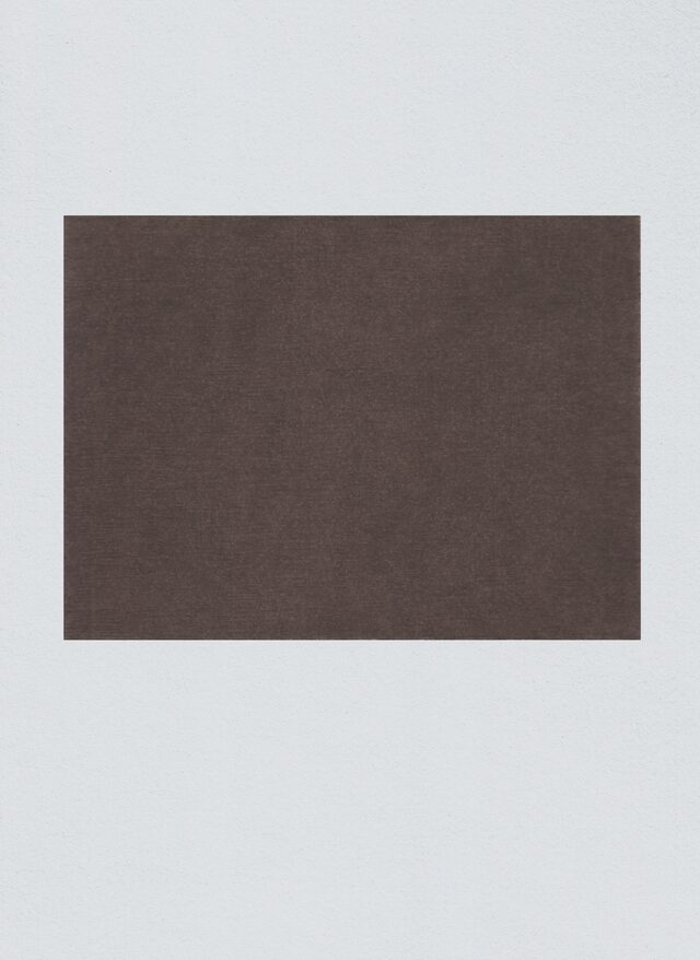 monochromes
