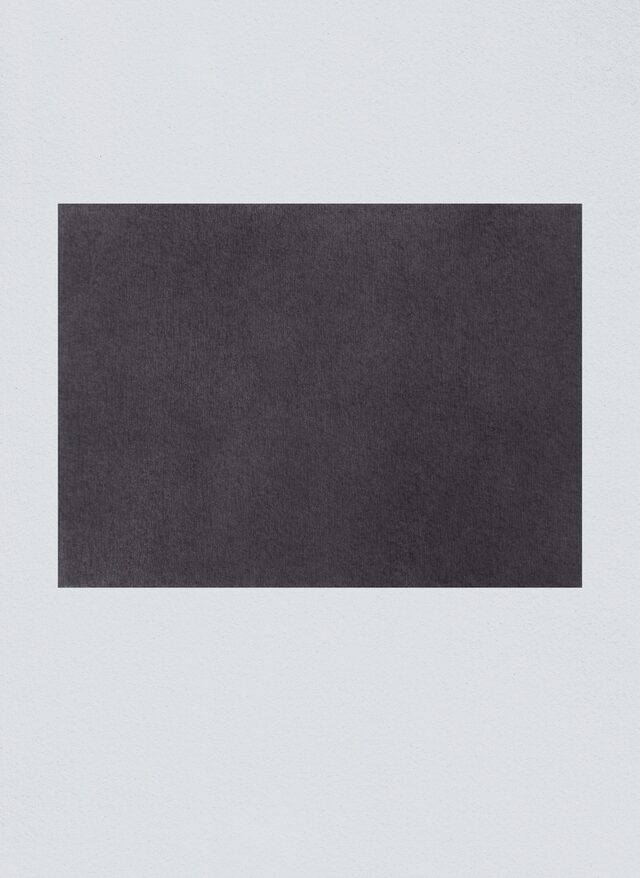 monochromes