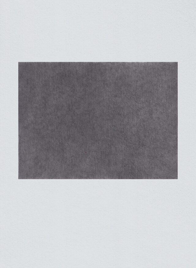 monochromes