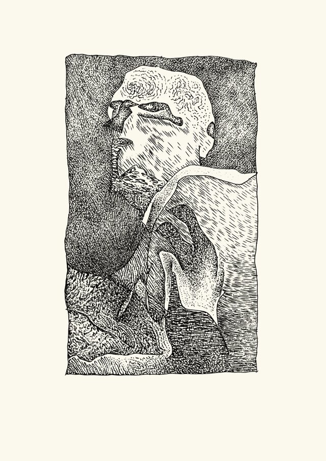 pilote
