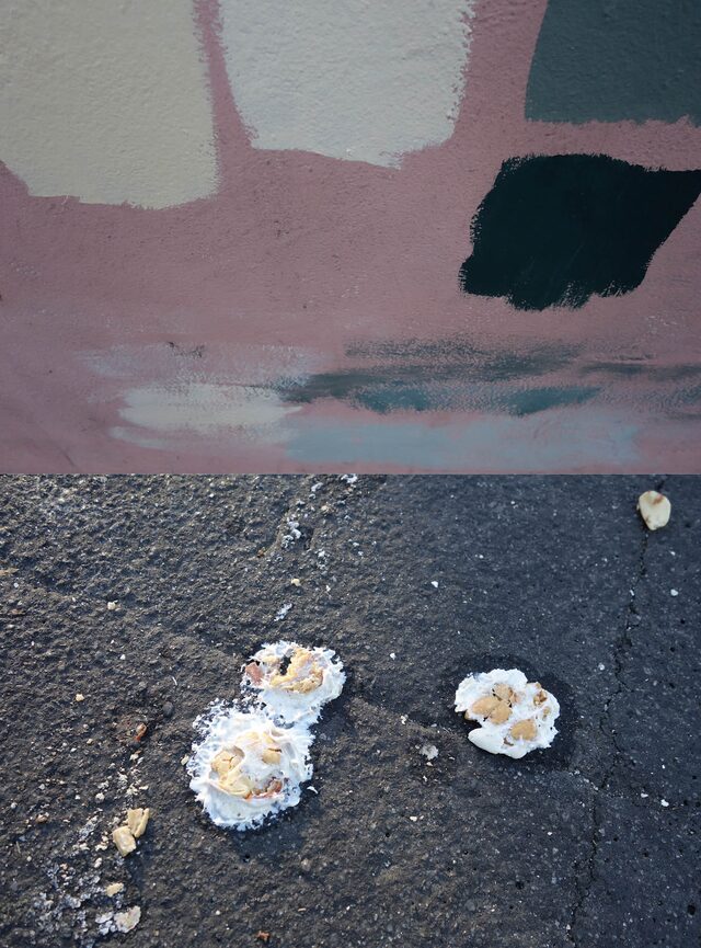 fiona creil