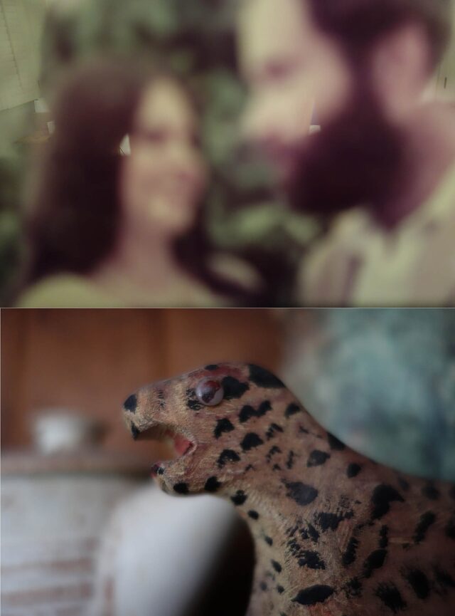 fiona creil