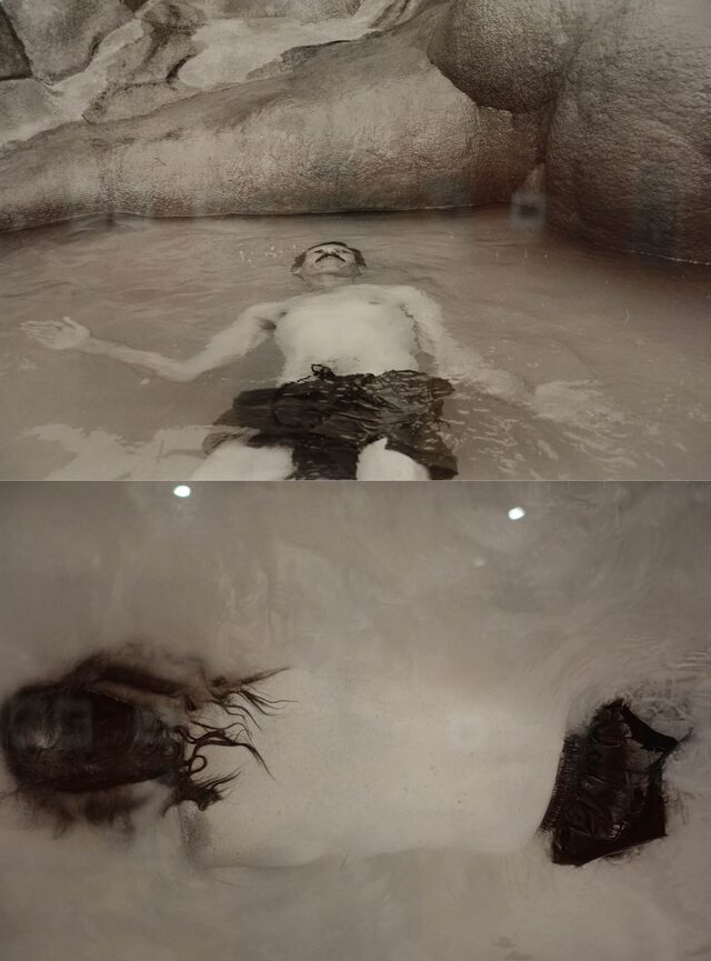 fiona creil