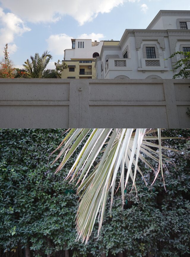 le caire