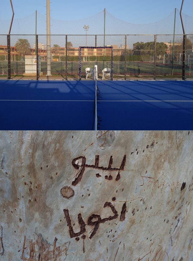 le caire