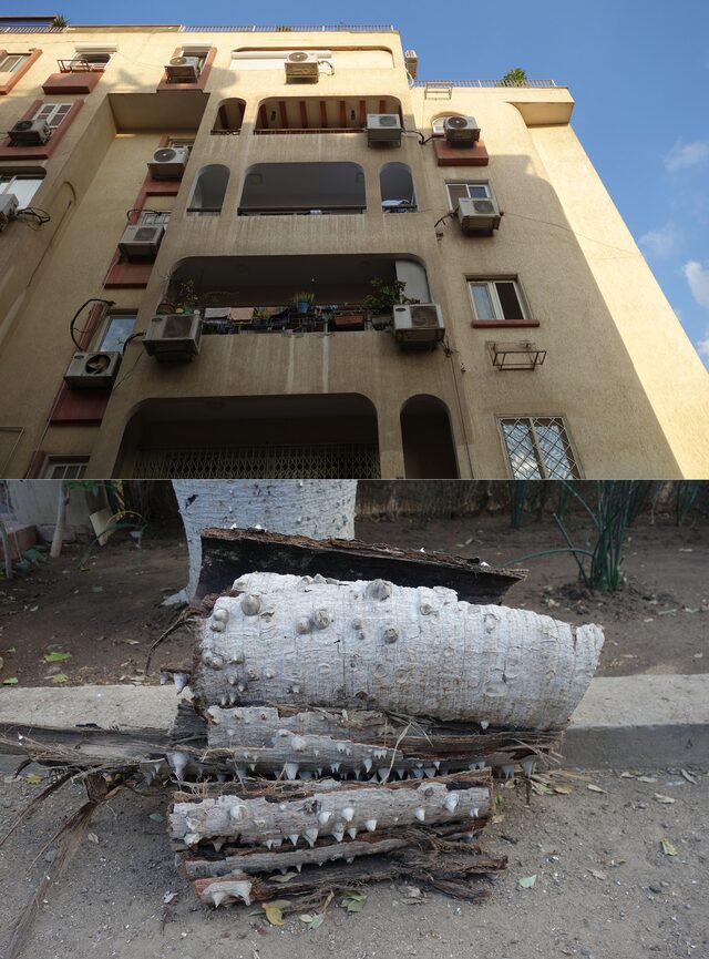 le caire