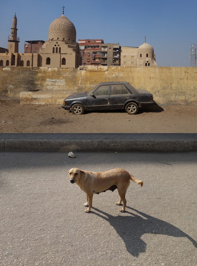le caire