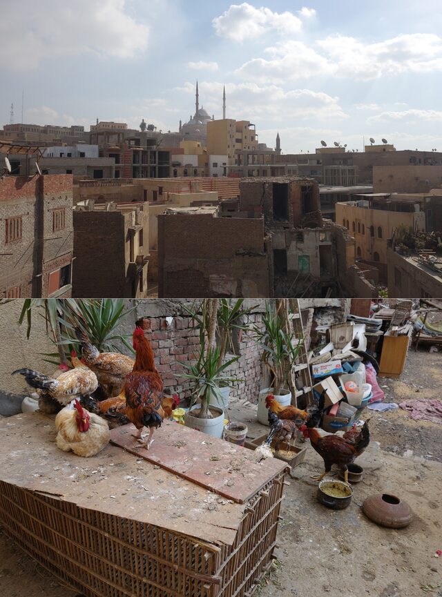 le caire